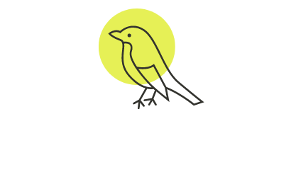Birding Art